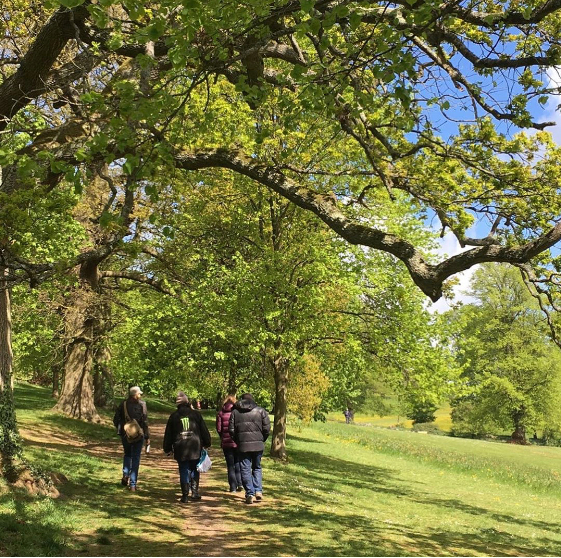 Mental Health Mates group out walking