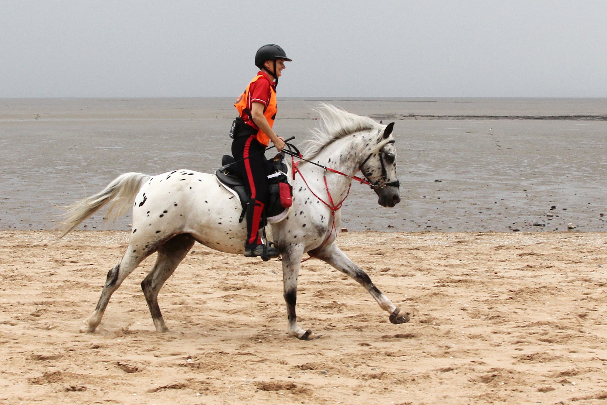 Runderwear™ goes endurance riding!